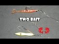 Montagem Two Bait para Pesca de Robalos [Dicas e Pescas]