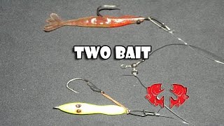 Two Bait Mount for Bass Fishing [Tips and Fisheries]