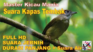 Masteran Murai, Suara Burung KAPAS TEMBAK Durasi Panjang + Terapi Suara Air Mengalir...FULL HD...!!!