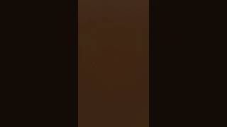 Download Lagu Oh ini baru tahu aku MP3