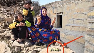 Download Lagu A nomadic lady's fruitful journey: finding the nomads' favorite food and firewood MP3