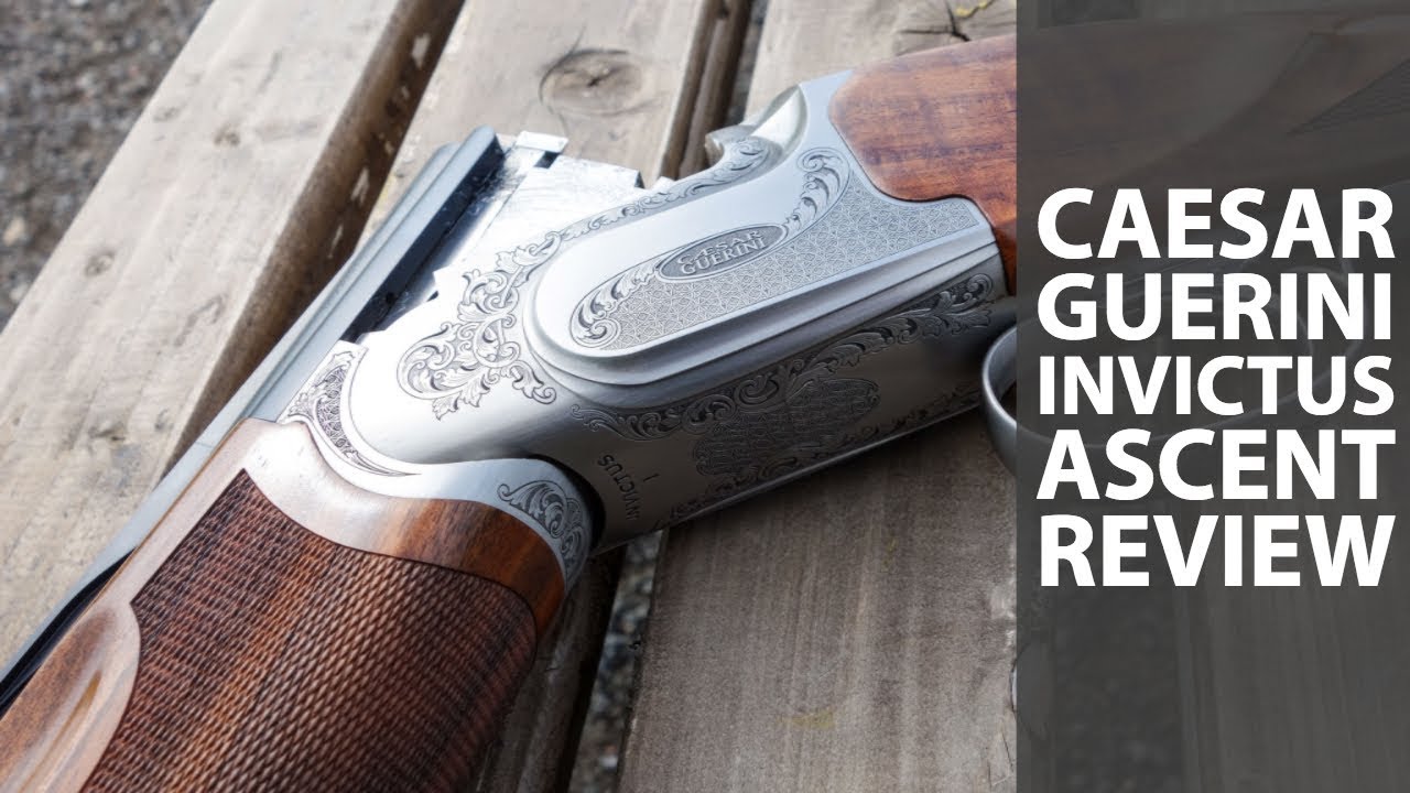 protektor anden Perennial Caesar Guerini Invictus Ascent shotgun review - YouTube