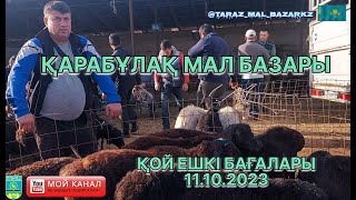 ҚАРАБҰЛАҚ | ҚОЙ ЕШКІ БАҒАЛАРЫ 11.10.2023 | QARABYLAQ MAL BAZARY