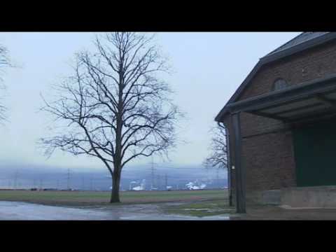 Finsdorf Finsdorf