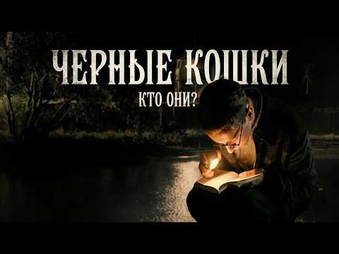 ОНИ ДЕРЖАЛИ В СТРАХЕ ВЕСЬ ГОРОД! Черные кошки