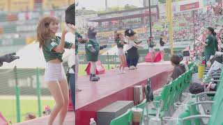 20240428 SSG랜더스 김도아 치어리더 SSG VS KT 광란의 4회말 응원단 분위기 풀?버전 (도아님 위주)