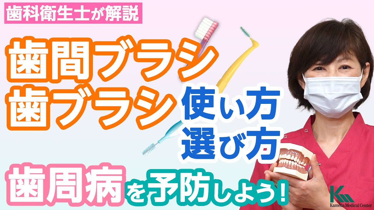 歯ブラシの使い方指導の手びき (でんたるおぐじりあり-シリ-ズ) 歯ブラシの使い方指導の手びき (でんたるおぐじりあり-シリ-ズ) 歯磨き