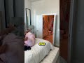 Le hizo una broma… y todo salió MUY mal 😱🕷️