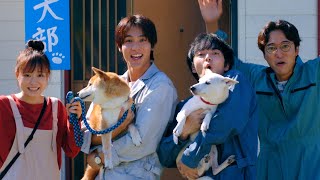 林遣都、中川大志らが動物保護に奮闘！Novelbrightが映画初主題歌「ライフスコール」書き下ろし　映画『犬部！』予告篇