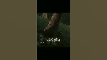 ( رَبَّنَا فَٱغۡفِرۡ لَنَا ذُنُوبَنَا ) - القارئ المنشاوي، سوره ال عمران 🧡😴 (/ حالات واتس#المنشاوي