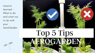 Aerogarden Top 5 Tips Dos And Donts