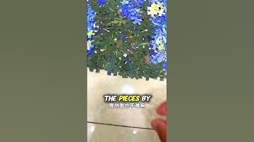 Color Sorting Wins Puzzle