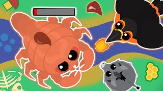 Lava Toucan Kills Scorpion In Mope.io Funny Moments Compilation