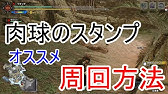 ライズ 紅玉 モンハン ネコ 毛 の