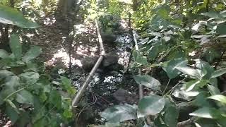 Amazing Ground Water Spring Famous Never Ending Spring In Solai- Chamuga Spring Warm Water Spring