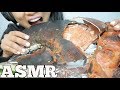 ASMR GIANT CLAW from a 15lb LOBSTER (EATING SOUNDS) NO TALKING | SAS-ASMR