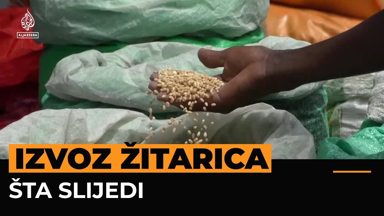 تم إنهاء اتفاقية تصدير الحبوب من البحر الأسود. ما الخطوة التالية؟