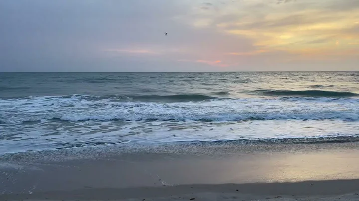 Today's Beach Sunrise