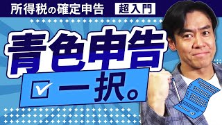 【確定申告入門】白じゃダメ！青色申告の方が圧倒的に節税メリット大！最大65万円の青色申告特別控除・専従者給与・少額資産等で節税ゴン攻め！現役税理士が解説します。