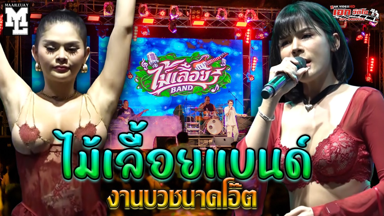 ไม้เลื้อยแบนด์ อุปสมบทพีรณัฐ อินประสิทธิ์ (โอ๊ต) วัดโรงช้าง ต.ท่าฉนวน อ.มโนรมย์ จ.ชัยนาท [26-02-69]