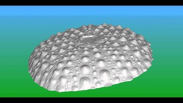 Geometry of a Skeleton of a Sea Urchin