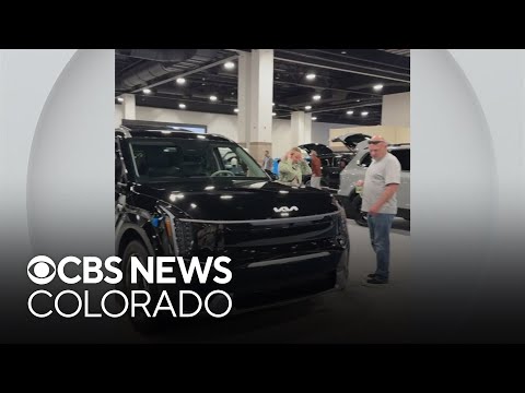 Automotive Imports Colorado