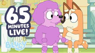 🔴LIVE: Sweetest Moments 🥹 💙 | 1 HOUR  Bluey Clips Livestream 💕 | Bluey