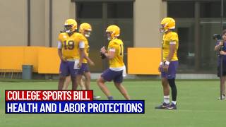 Senate Passes Landmark Bill to Overhaul College Sports and Athlete Pay