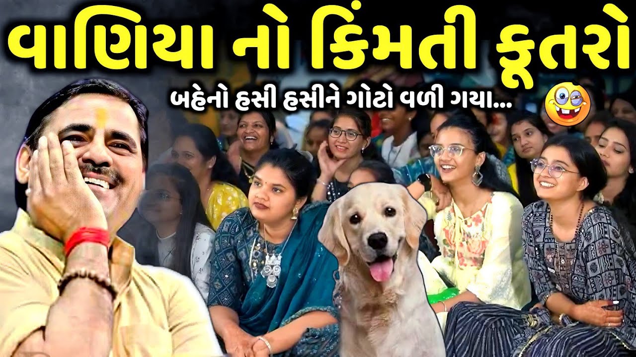 વાણિયા નો કિંમતી કૂતરો | Mayabhai Ahir | new comedy jokes 2025 | Aapnu Loksahitya