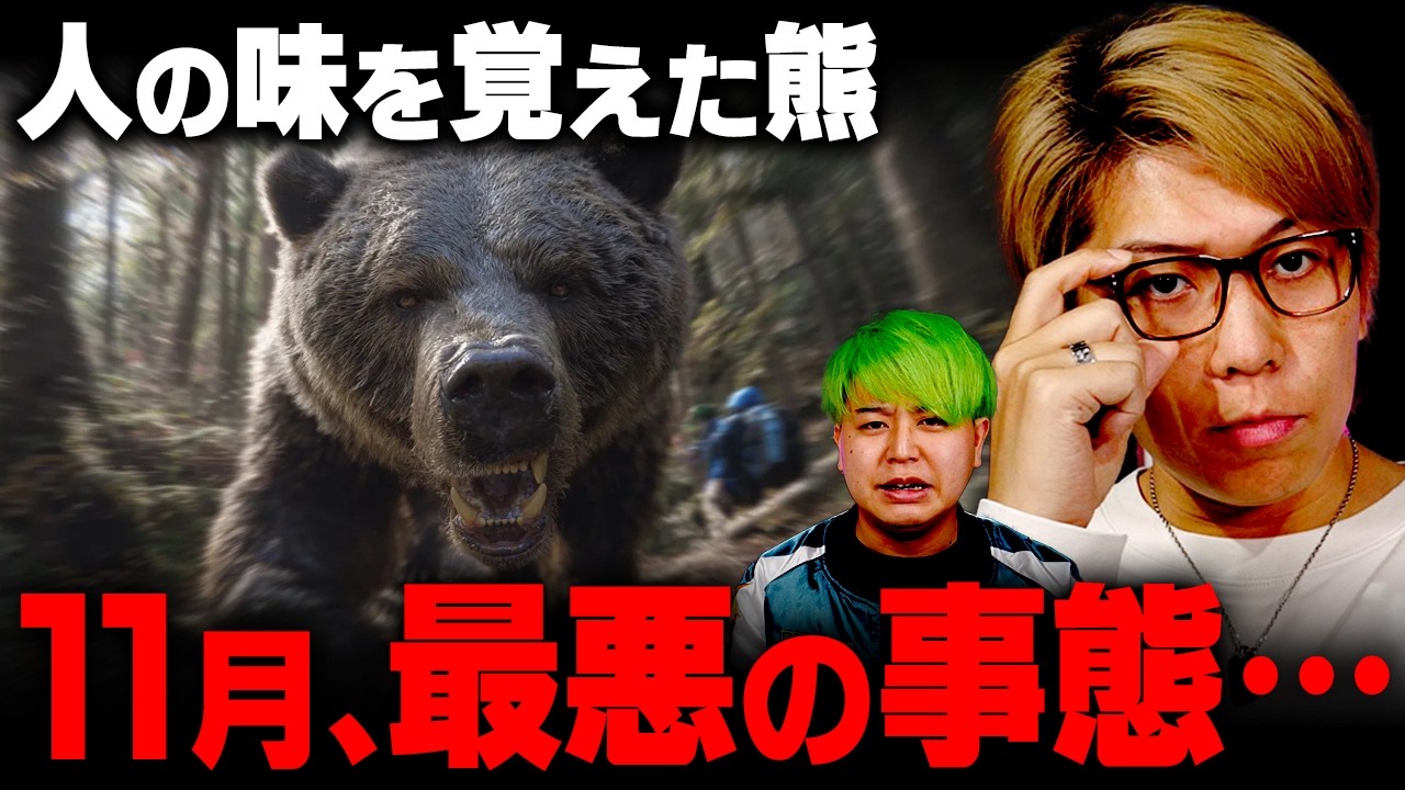 増加する熊報道の真相。日本に迫る脅威【 都市伝説 クマ 】
