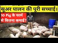 10 Pig का फार्म बनाने में कितना खर्च और कितनी कमाई ।।Desi Kisan