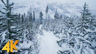 11 HOURS Enchanting Winter Landscapes - 4K Wintertime Cinematic Film + Relaxing Music - Part #1 screenshot 3