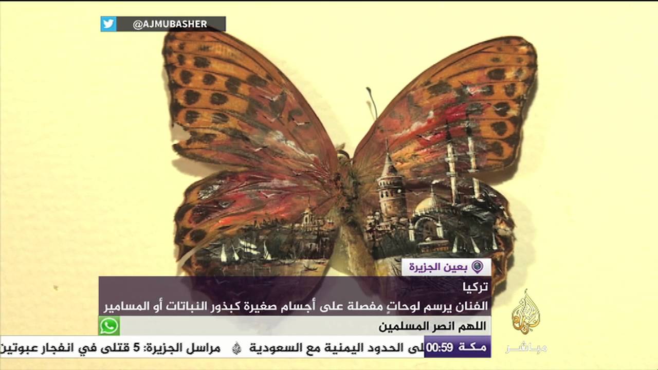 فنان تركي يرسم على أجنحة الفراشات وعظام الأسماك والبذور
