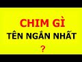 19 câu đố mẹo khiến thần kinh giáo sư lung linh