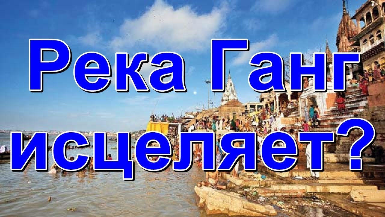 Ганг банг киев