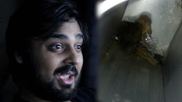 Exploring The "Alex From Tennessee" Thread...