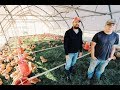 Game Changer: 600 Chickens in One Coop