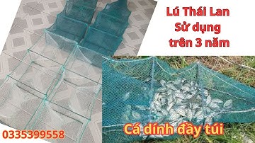 12 cửa ngục - Lú Thái Đánh sông và đánh biển có đủ loại, nhiều kích thước. Tha hồ lựa