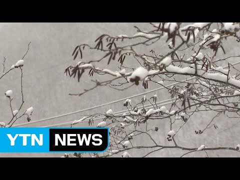 [날씨] 내륙 맑고 쌀쌀...강원 산간엔 '대설' / YTN