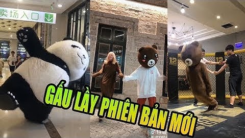 [CƯỜI VỠ BỤNG] Chú Gấu Lầy Nhất Tik Tok- Tik Tok triệu view# Tik Tok Hot