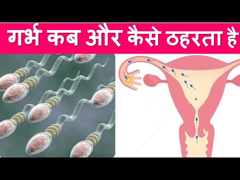 वीडियो: परीक्षा से पहले गर्भवती कैसे हो
