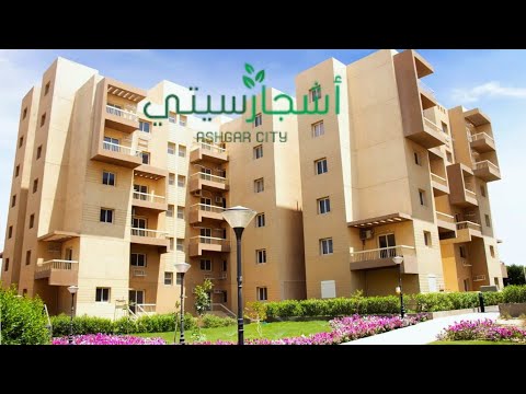 شرح كامل مشروع اشجار سيتى فى اكتوبر    