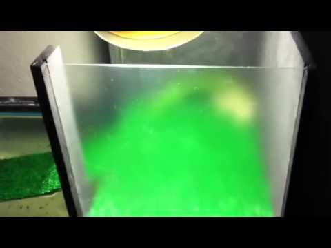 DIY: Turtle basking area - YouTube