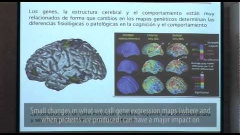 Mental illness: a matter of genes and environment