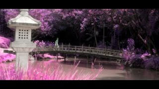 ZAPI - Flores de Kush (prod. Lotto)