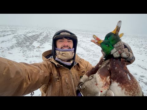 Duck Hunting in a BLIZZARD Solo! (Cracked) - YouTube