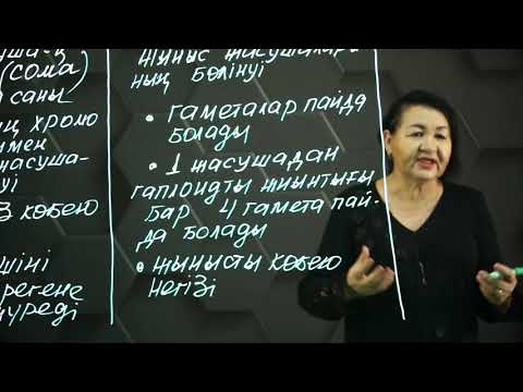 Video: Гомологдук хромосомалар митоздо бөлүнөбү?