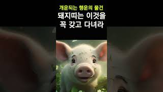 2024년 갑진년 돼지띠 운세! 돼지띠를 대박나게하는 행운의 물건! 올해는 이 물건을 꼭 챙기세요! #띠별운…