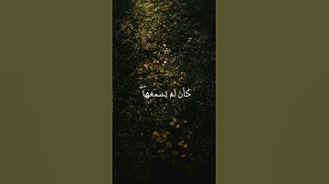 اكتب شي تؤجر عليه #القرآن#ياسر_الدوسري#تلاوة #Quran #Yasser_AlDosari#قرآن_كريم #خشوع #رمضان #Islam📖
