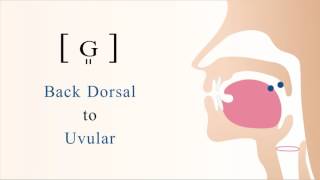 [ ɢ͈ ] voiced dorsal uvular tense stop